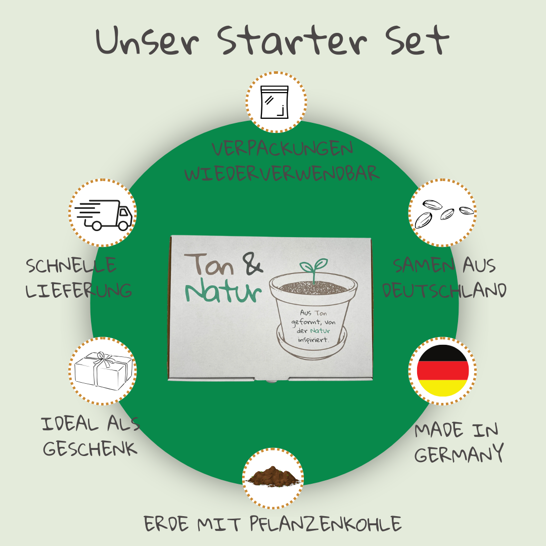 DIY Starter Set – Dein eigener Blumentopf